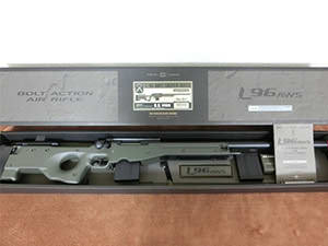 L96 AWS